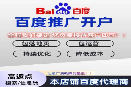 百度推广开户成功案例深度剖析